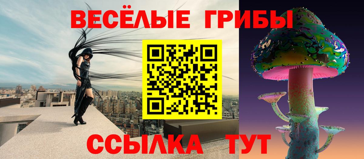 Псилоцибиновые грибы Magic Shrooms  купить наркотики цена  Семёнов  Вход с VPN 